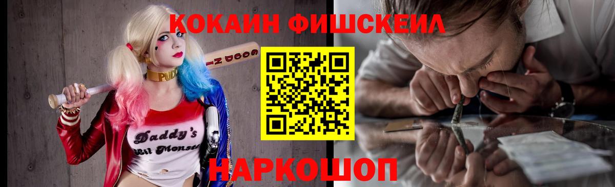 КОКАИН FishScale  Вход с VPN  где продают   КОКАИН  Елизово  Кокаин Columbia 