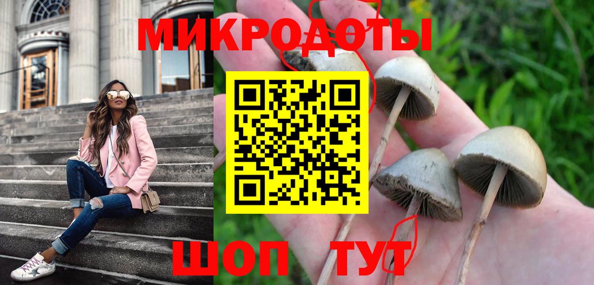 Галлюциногенные грибы Psilocybe  Вход с VPN  Елизово 