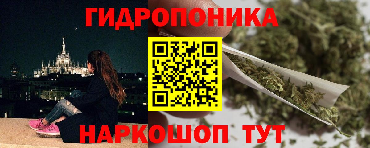 ГАШ Елизово